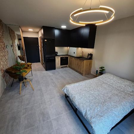 Przystan Nad Wisla Gym,Pool And Spa Free Parking 克拉科夫 外观 照片