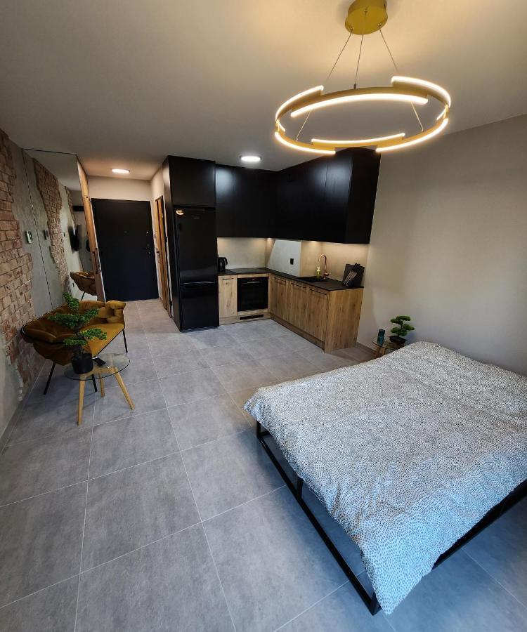 Przystan Nad Wisla Gym,Pool And Spa Free Parking 克拉科夫 外观 照片